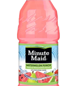 Minute Maid USA Watermelon Punch 24xPack